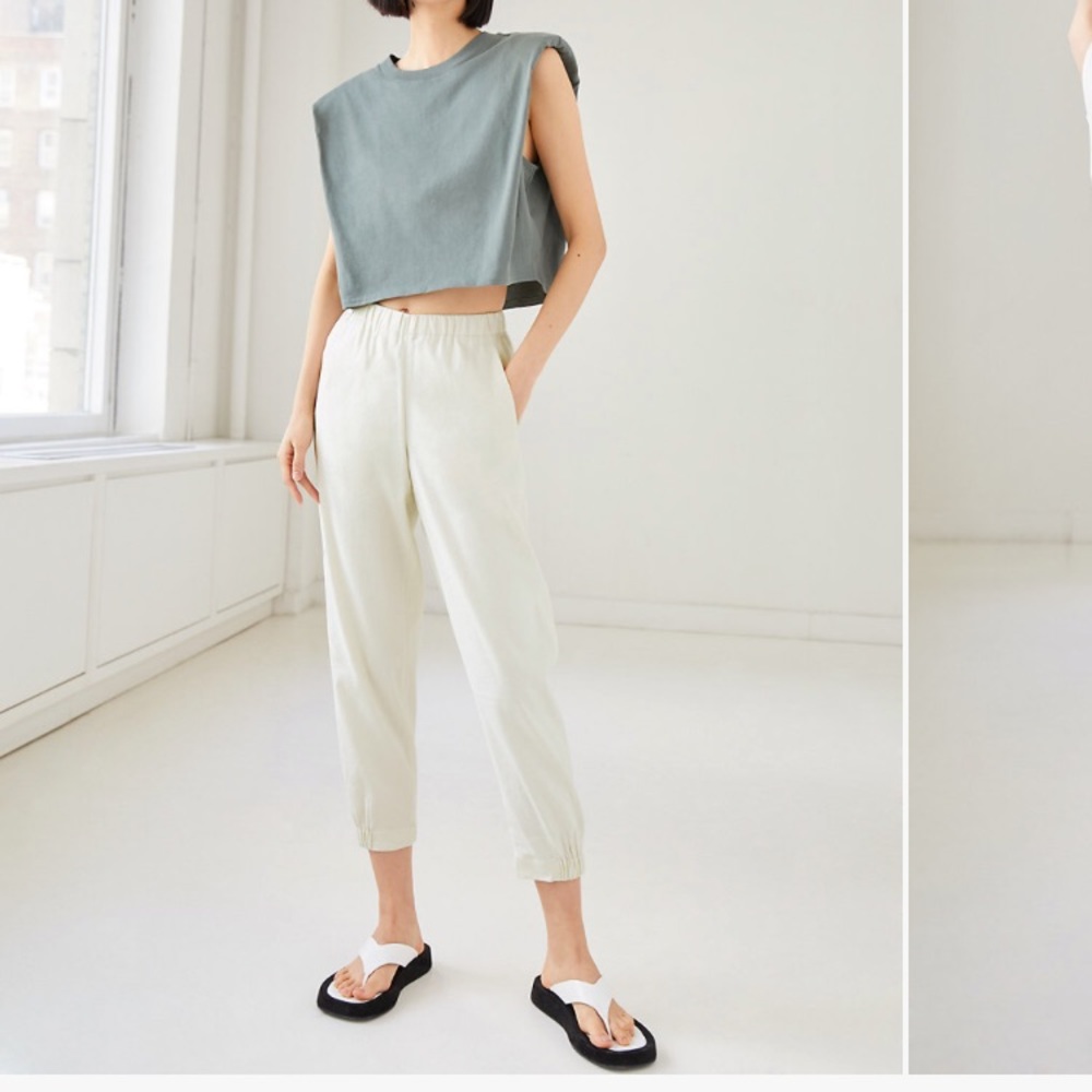 Aritzia Babaton Dexter Pant